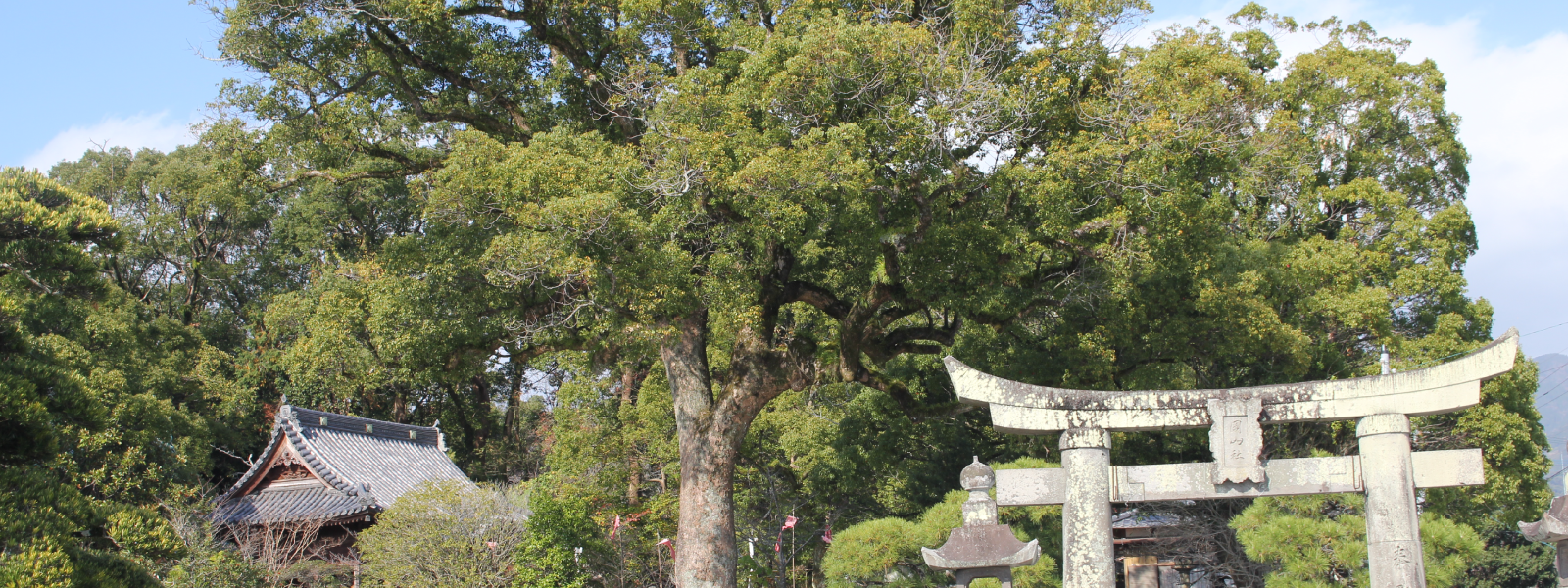 岡山神社